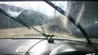 Жидкость для омывания авто-стекол "Champion" (-20С), 4л