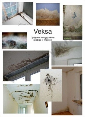 Средство конц., чистящее грибок, плесень VEKSA, 5л Pro-Brite Средство конц., чистящее грибок, плесень VEKSA, 5л Pro-Brite