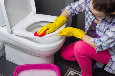 Средство чистящее для сантехники, 750мл FRESH (ФРЕШ)