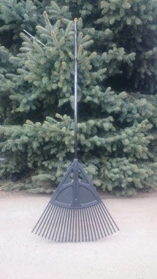 Грабли веерные "Умелец" PROTEX с черенком