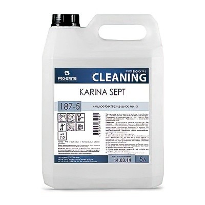 Мыло жидкое c дезинф. эффектом KARINA SEPT, 5л Pro-Brite (канистра)