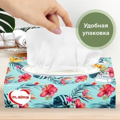 Салфетки бумажные, косметич., 2 слоя (100шт/уп) LAIMA "Everyday" 113588
