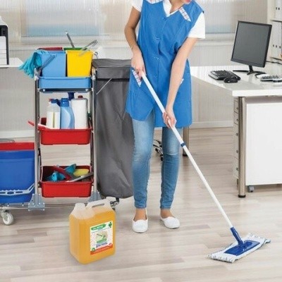 Средство для мытья пола, стен и поверхностей, c дезинфекцией, биоразлаг., 5л LAIMA EXPERT 607761