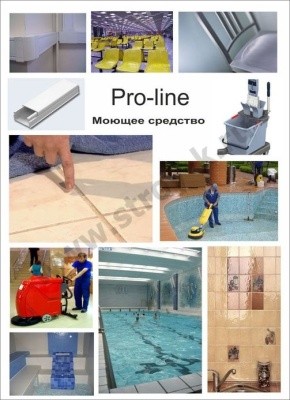 Средство конц. моющее PRO-LINE, 5л Pro-Brite 036-5 (низкопенный)