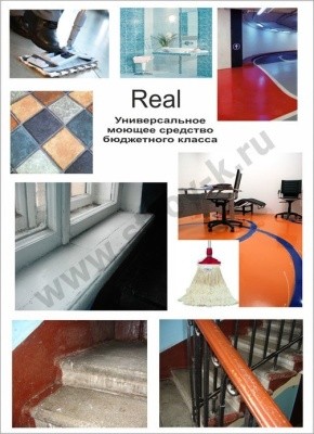 Средство конц. моющее REAL, 5л Pro-Brite 169-5 (низкопенный)