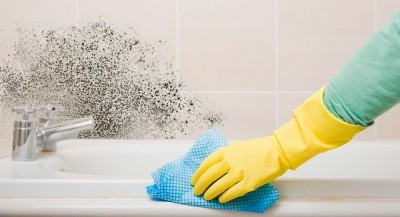 Средство конц., чистящее грибок, плесень VEKSA, 1л Pro-Brite 091-1 (триггер) Средство конц., чистящее грибок, плесень VEKSA, 1л Pro-Brite 091-1 (триггер)